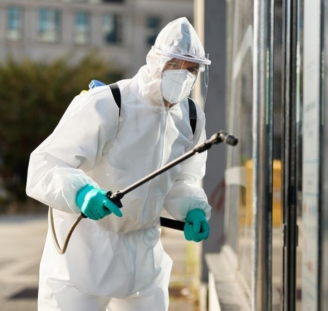 Pest Control Experts