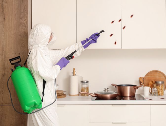Flea Pest Control Sydney
