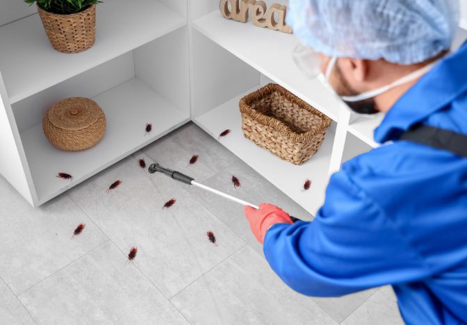 Why DIY Flea Treatments