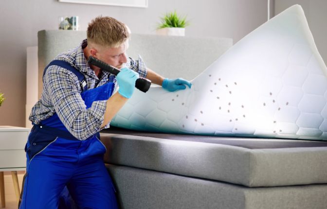 Bed Bug Control Sydney